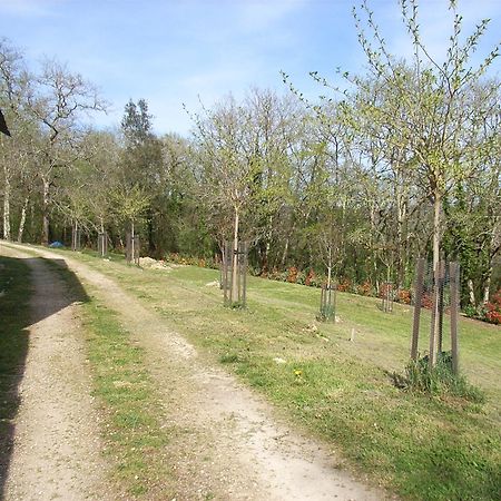 Studio Aux Eyzies Au Coeur De La Vallee De L'Homme Les Eyzies-de-Tayac-Sireuil Kültér fotó