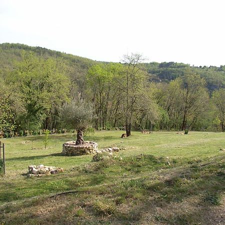 Studio Aux Eyzies Au Coeur De La Vallee De L'Homme Les Eyzies-de-Tayac-Sireuil Kültér fotó