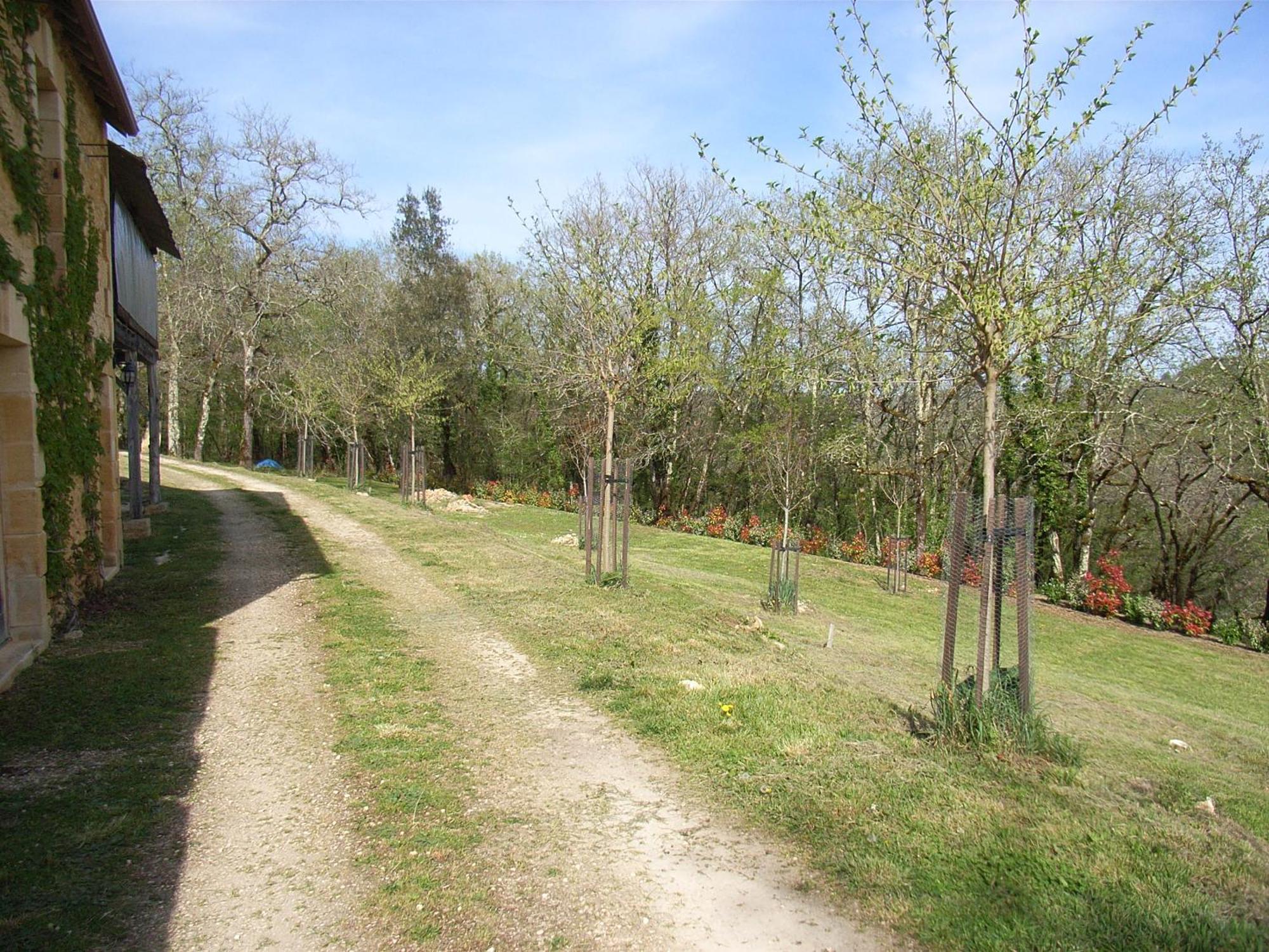 Studio Aux Eyzies Au Coeur De La Vallee De L'Homme Les Eyzies-de-Tayac-Sireuil Kültér fotó