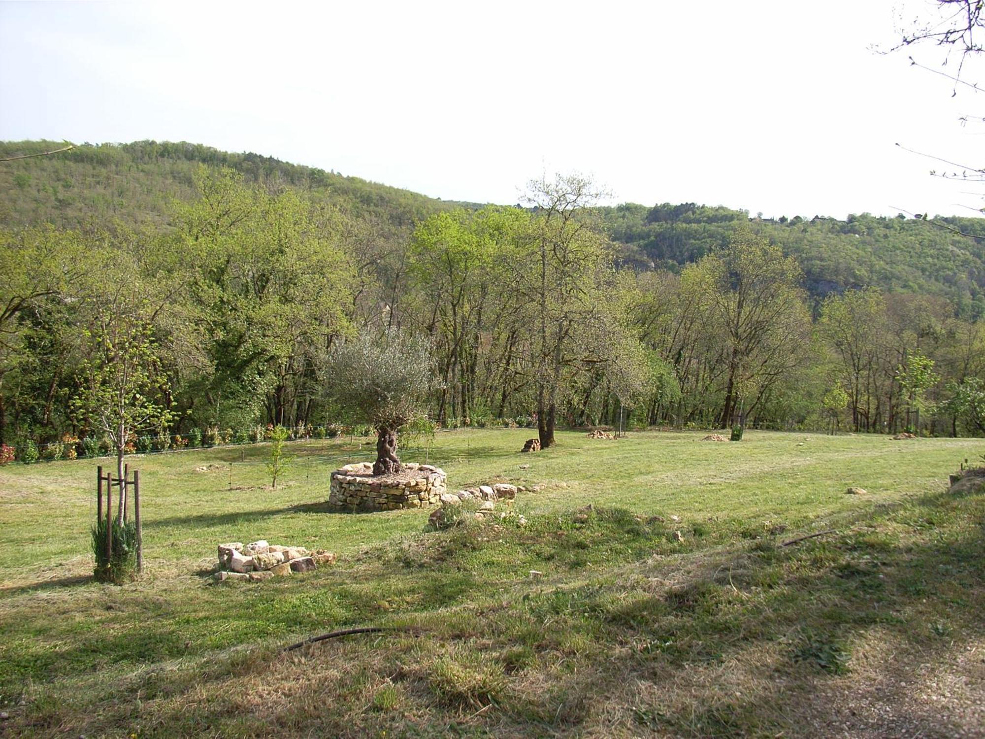 Studio Aux Eyzies Au Coeur De La Vallee De L'Homme Les Eyzies-de-Tayac-Sireuil Kültér fotó