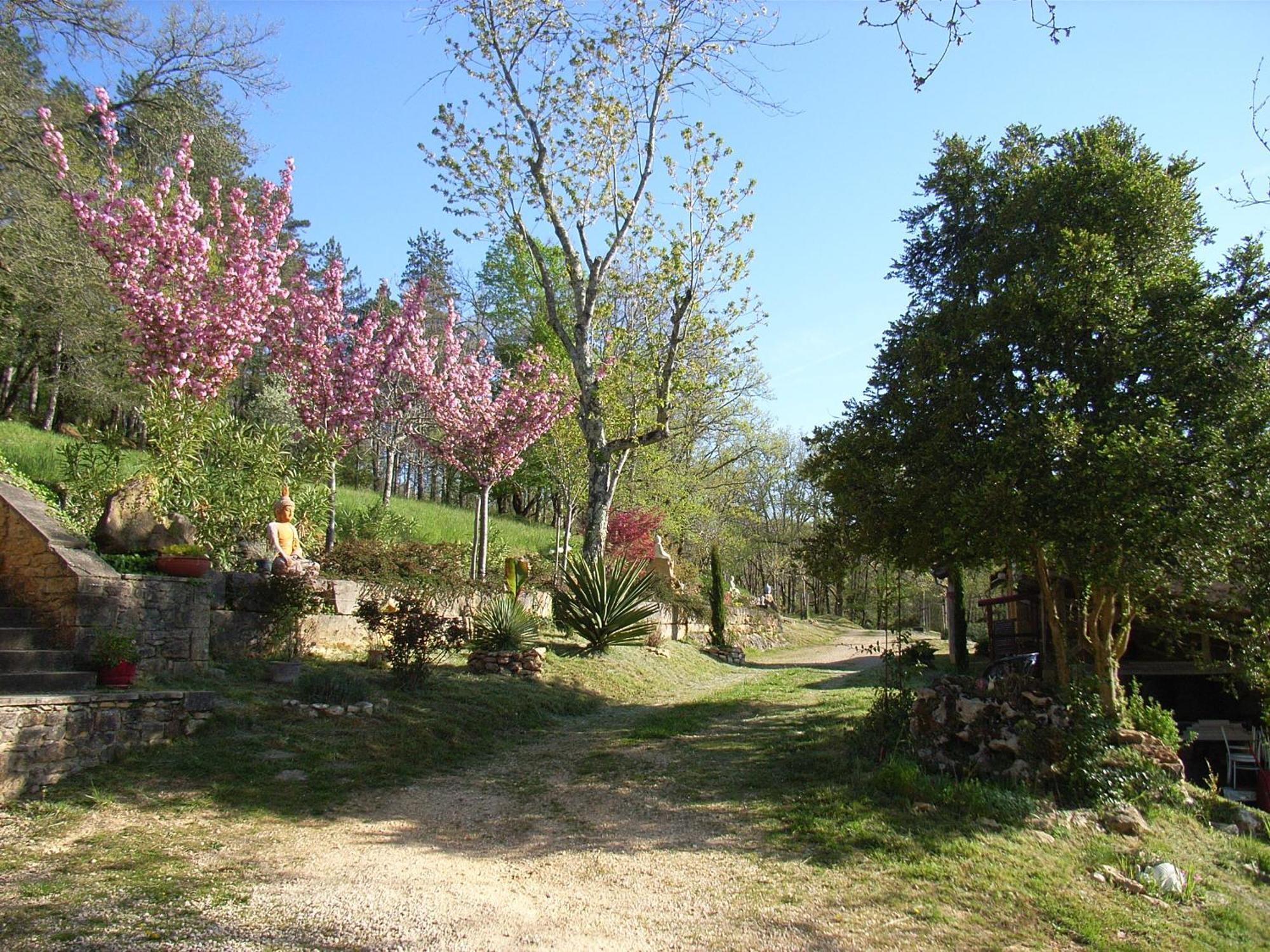 Studio Aux Eyzies Au Coeur De La Vallee De L'Homme Les Eyzies-de-Tayac-Sireuil Kültér fotó
