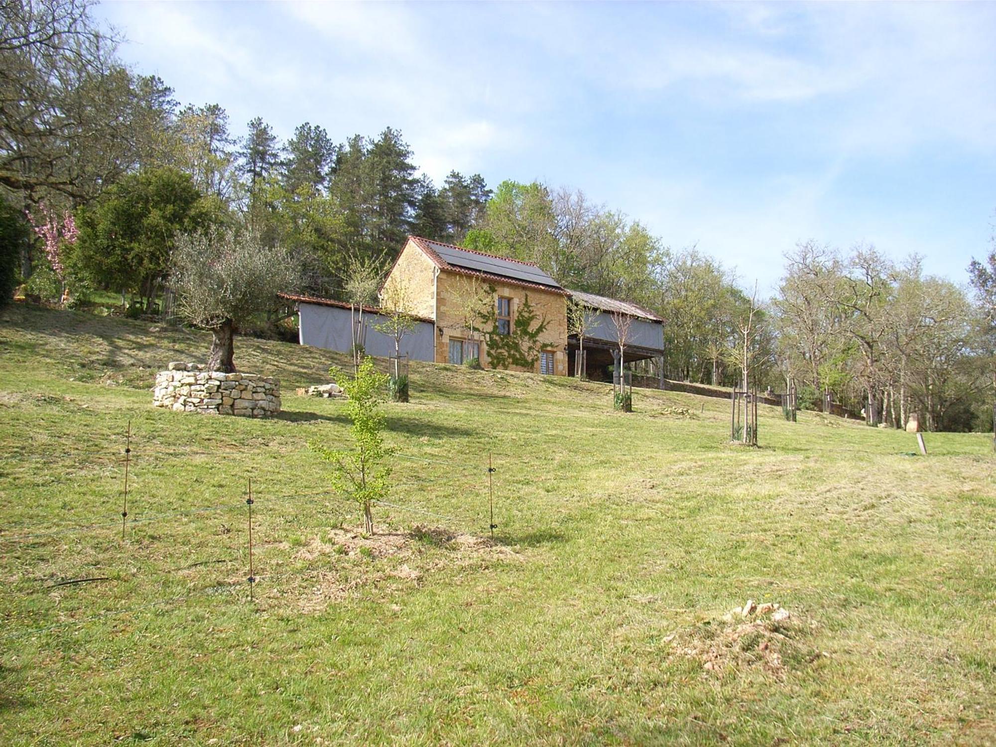 Studio Aux Eyzies Au Coeur De La Vallee De L'Homme Les Eyzies-de-Tayac-Sireuil Kültér fotó